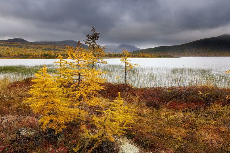 Озеро Джека Лондона фото превью