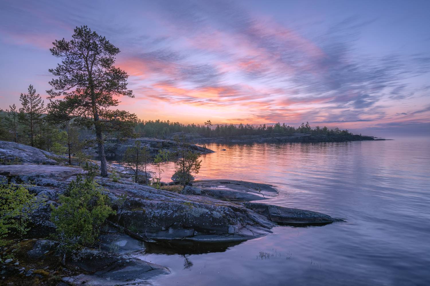 , Максим Евдокимов