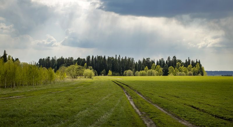 ... фото превью