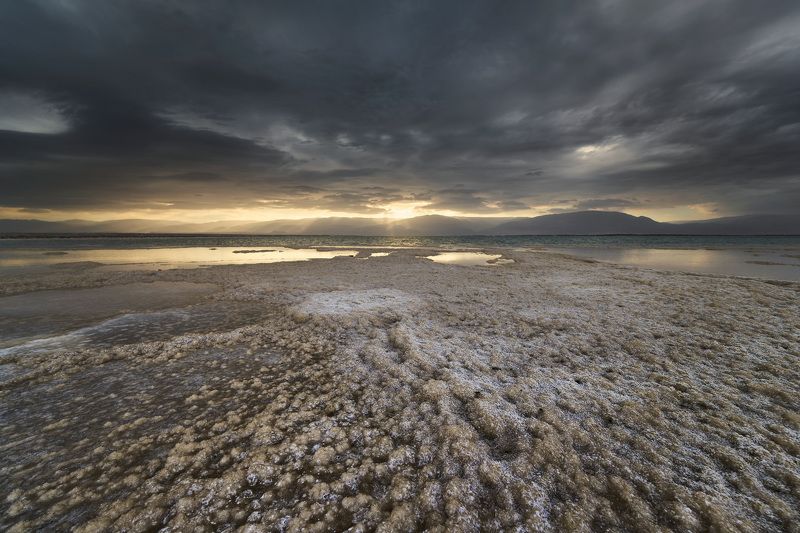 The Dead Sea, Salt фото превью