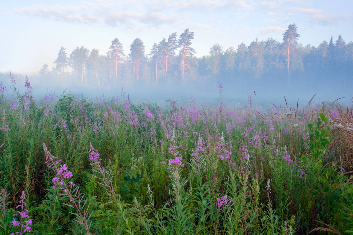 , Юсупов Александр