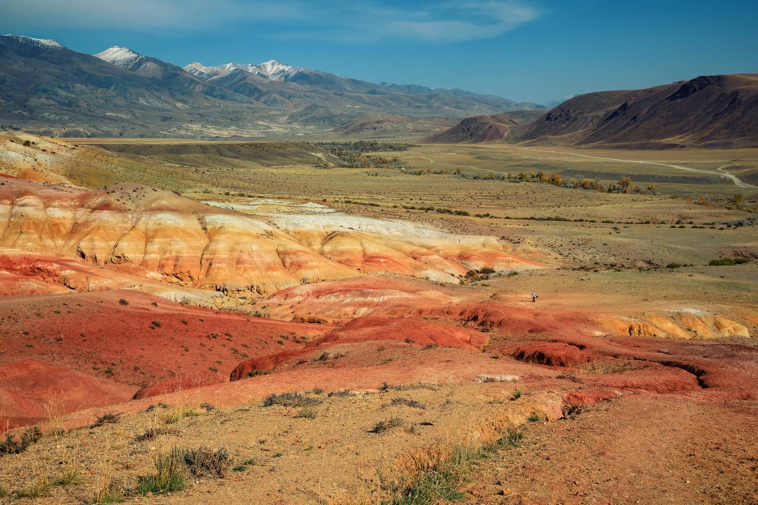 , Рагинская Ольга