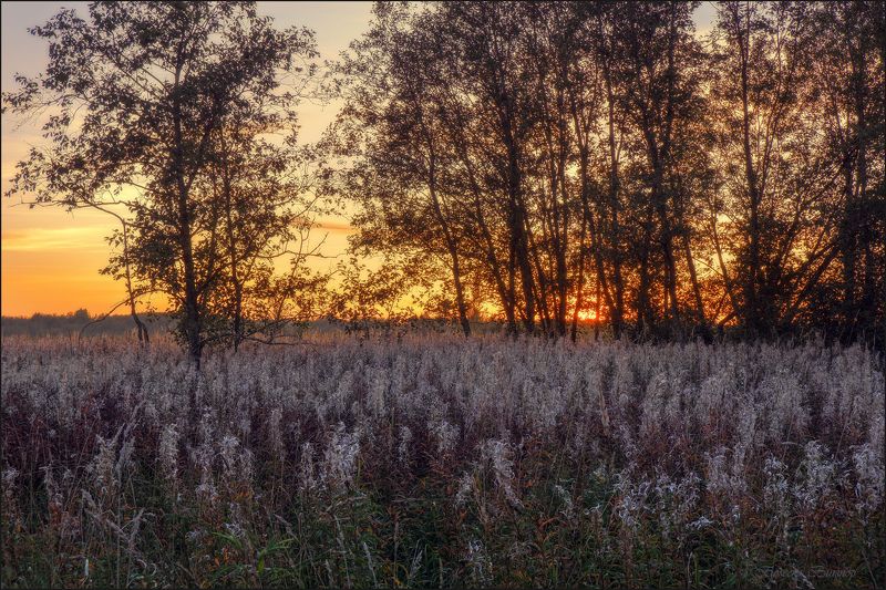 Летний снег фото превью