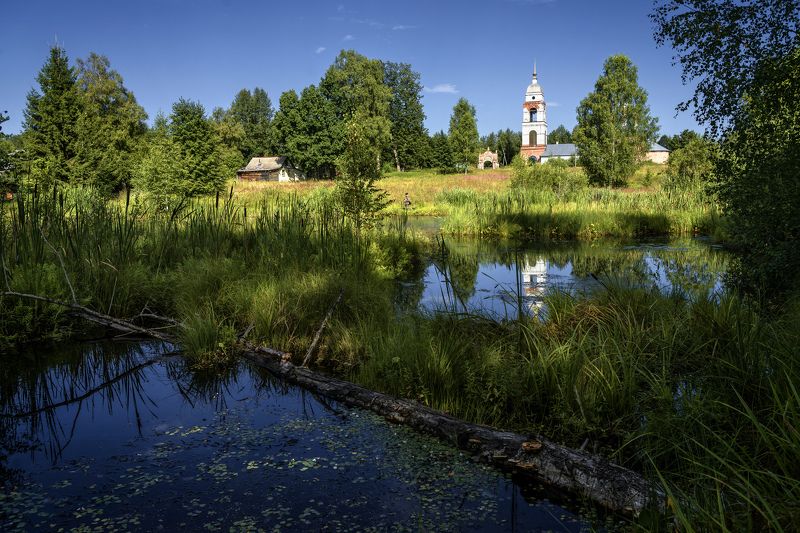 болотце, ярославская область, лето Болотце у села фото превью
