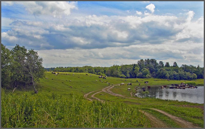 Пастораль фото превью