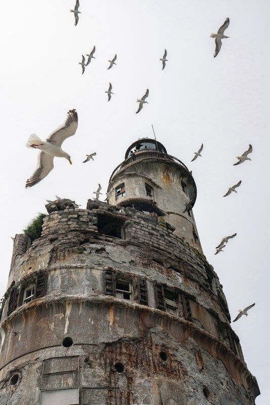 Обитель чаек фото превью