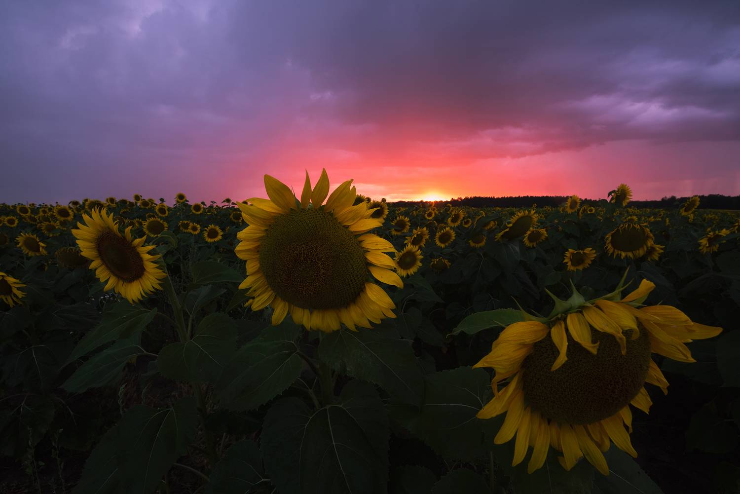 , Захаров Дмитрий