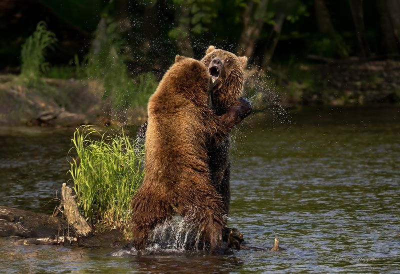 Соперники фото превью