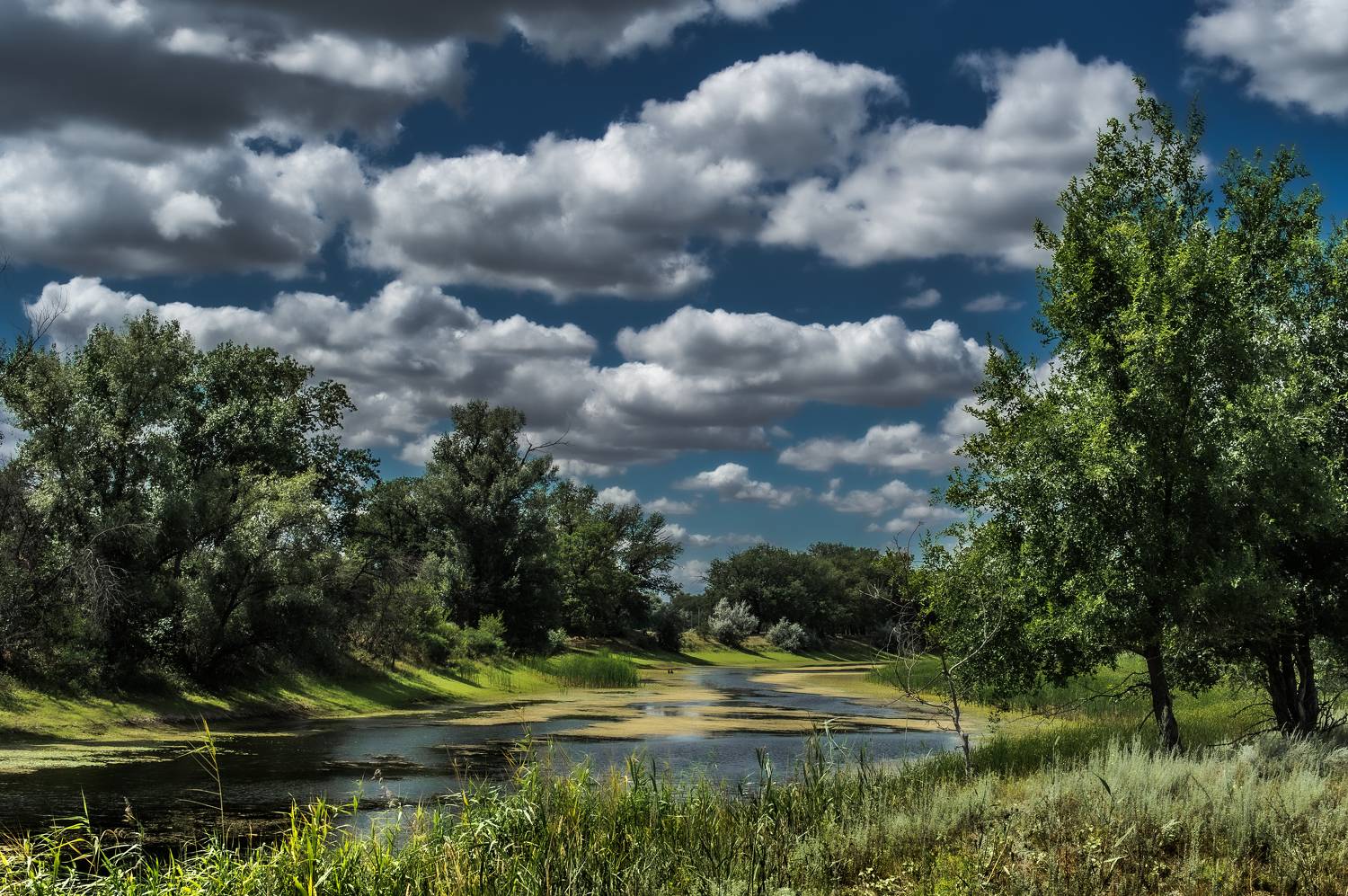 пейзаж, природа, день, облака, Vasilev Roman