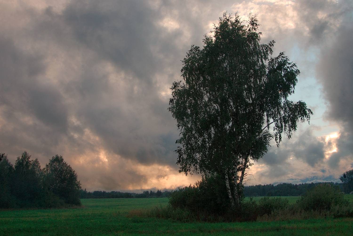 , Борис Леваков