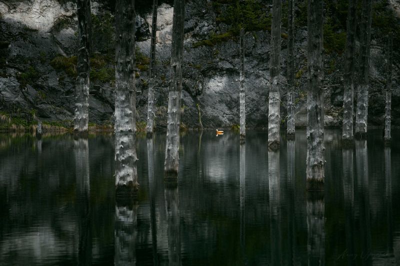 kazakhstan, landscape, lake, kaindy, duck *** фото превью