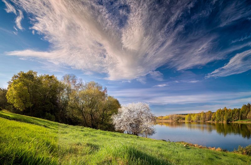 утро, весна, река, яблоня, Весна на берегу реки фото превью