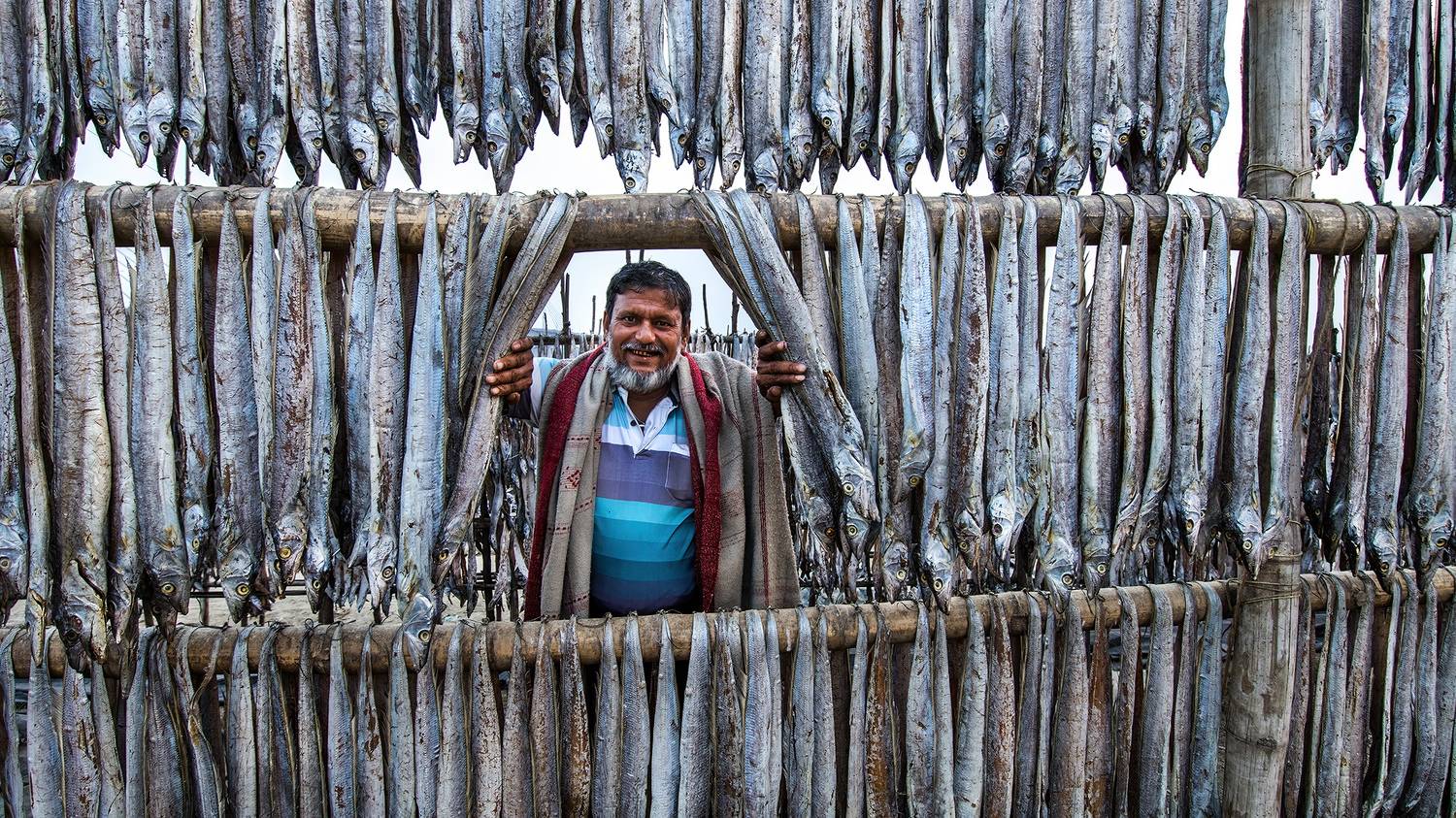 fish, fish drying, Badal Chandra Sarker