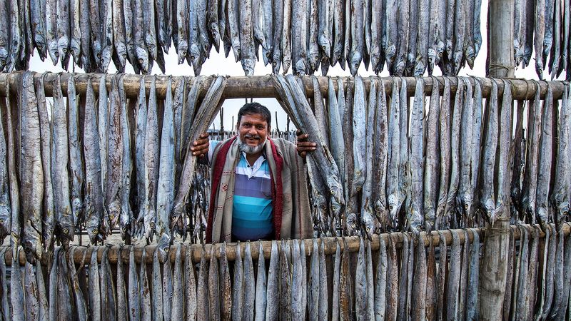 fish, fish drying fish drying field in bangladesh фото превью