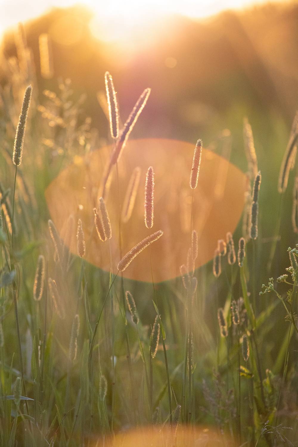 , Чудинин Дмитрий