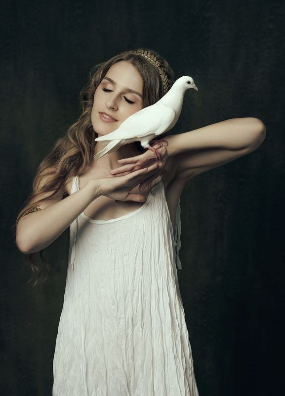 девушка, портрет, женский портрет, голубь, студийное фото, canon Aphrodite фото превью