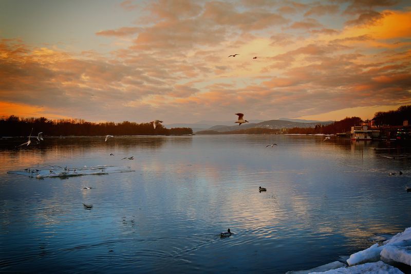 Winter Danube фото превью