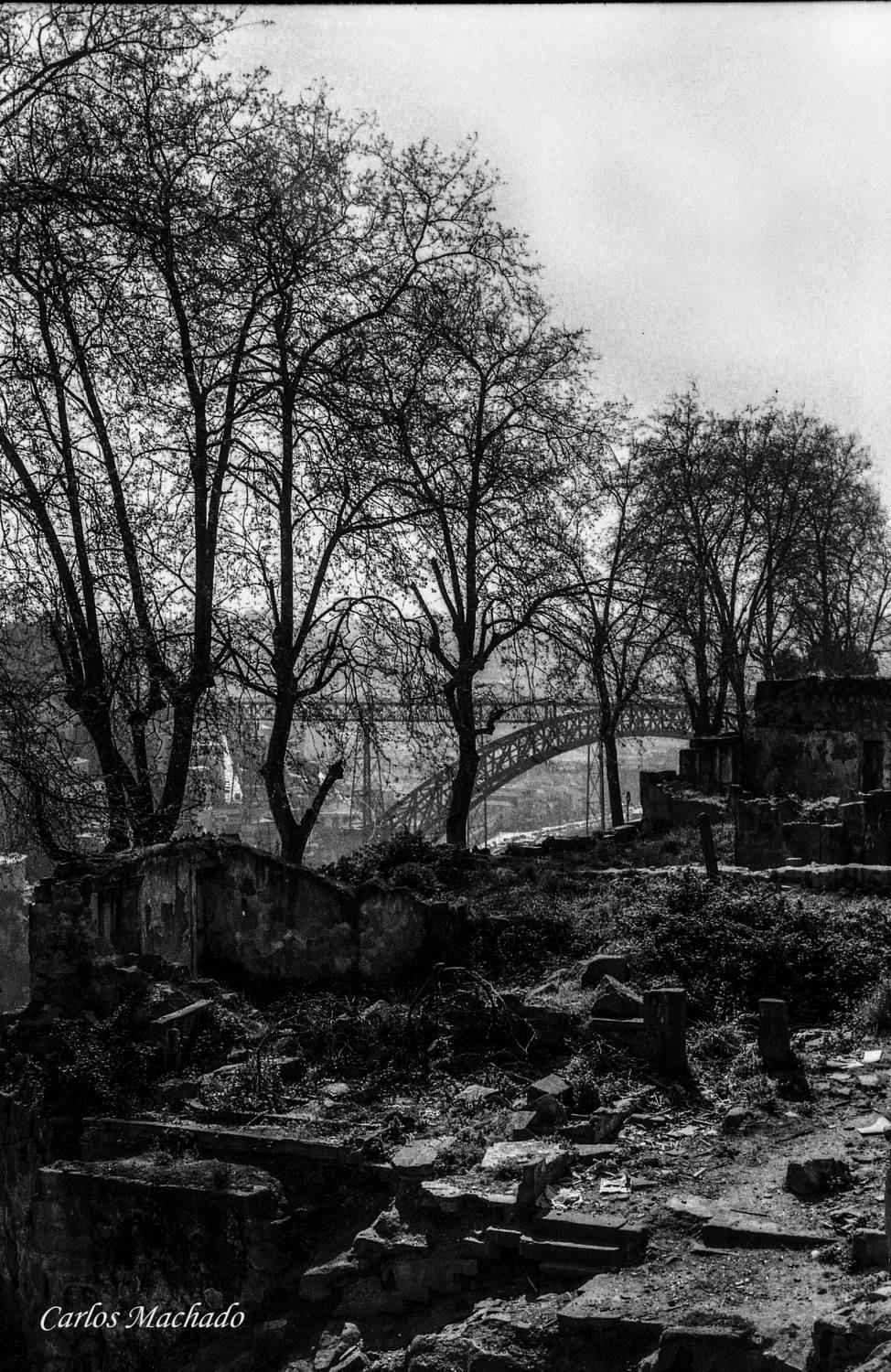 Black & White, Street Reportage, Machado Carlos