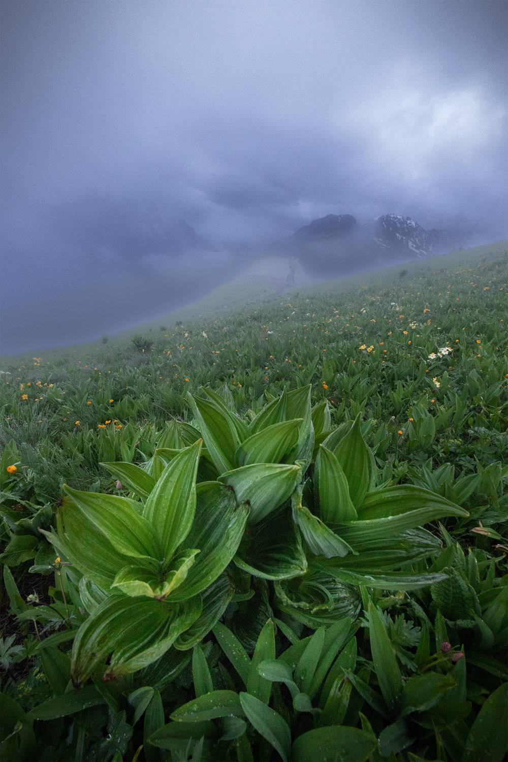 #осетия, #горы, Руднев Юрий