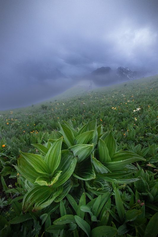 #осетия, #горы Из серии Осетия фото превью