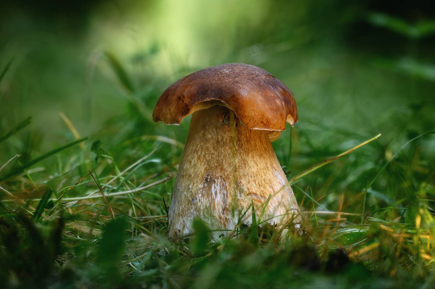 , Нуждин Андрей