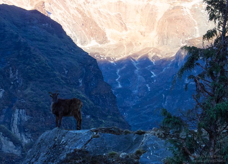 пейзажемагьё, пейзаж-как-виденье Рассветный дозор фото превью