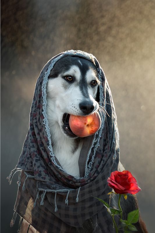 портрет с персиком фото превью