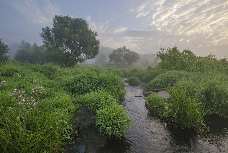 Утро на протоке фото превью
