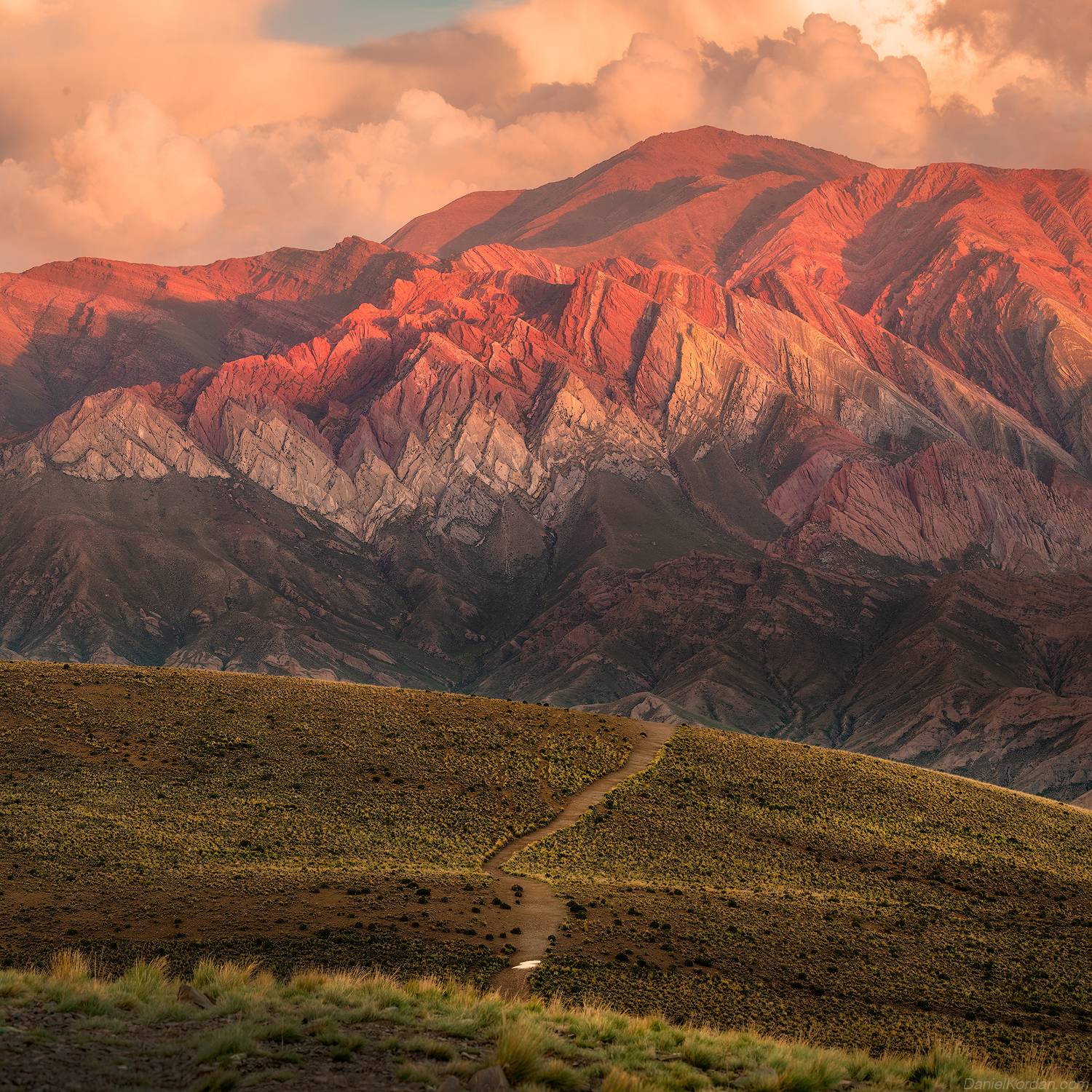 , Даниил Коржонов