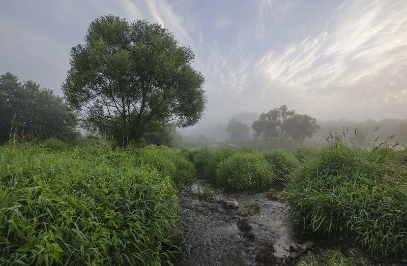 утро, лето, протока, якшино Утро на протоке - 2 фото превью