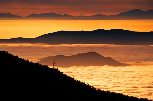 Природа Приморского края