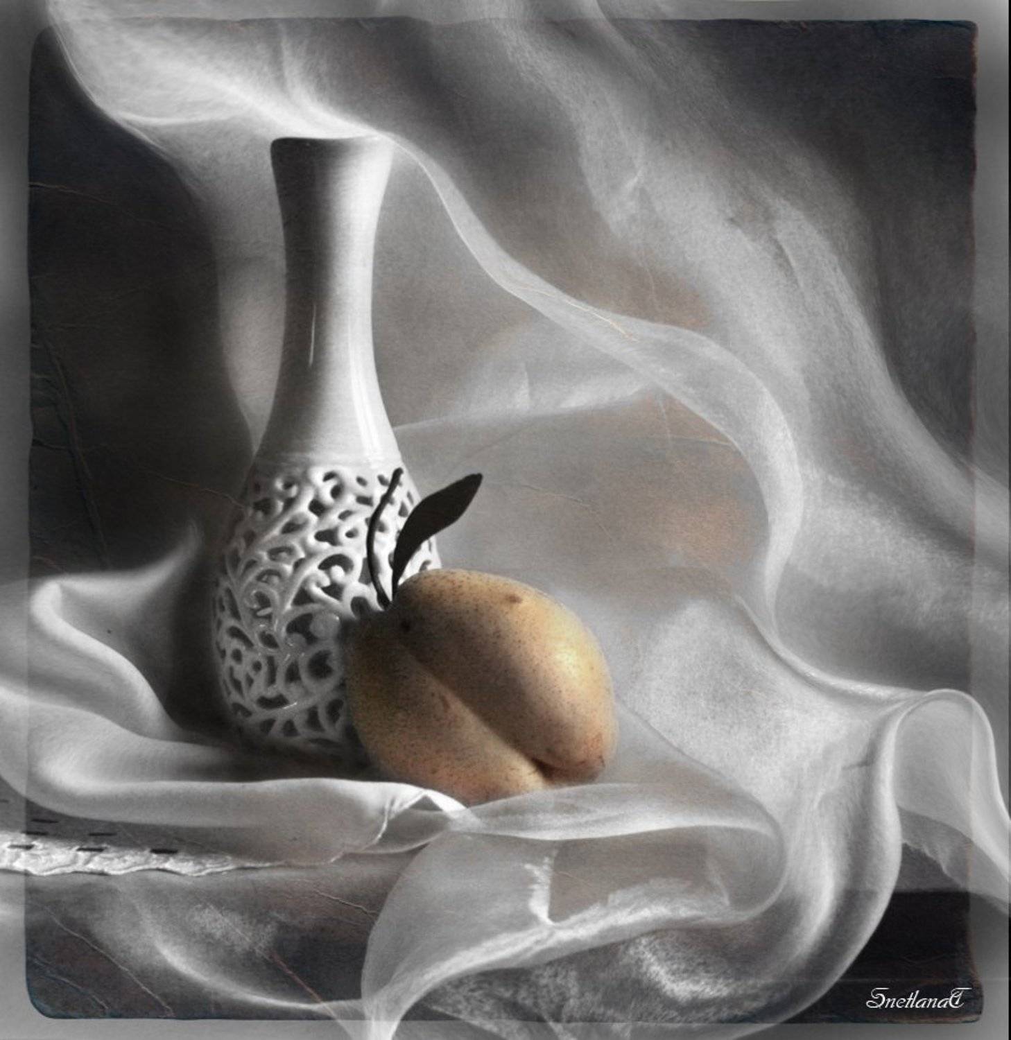 , Svetlana Tkachenko