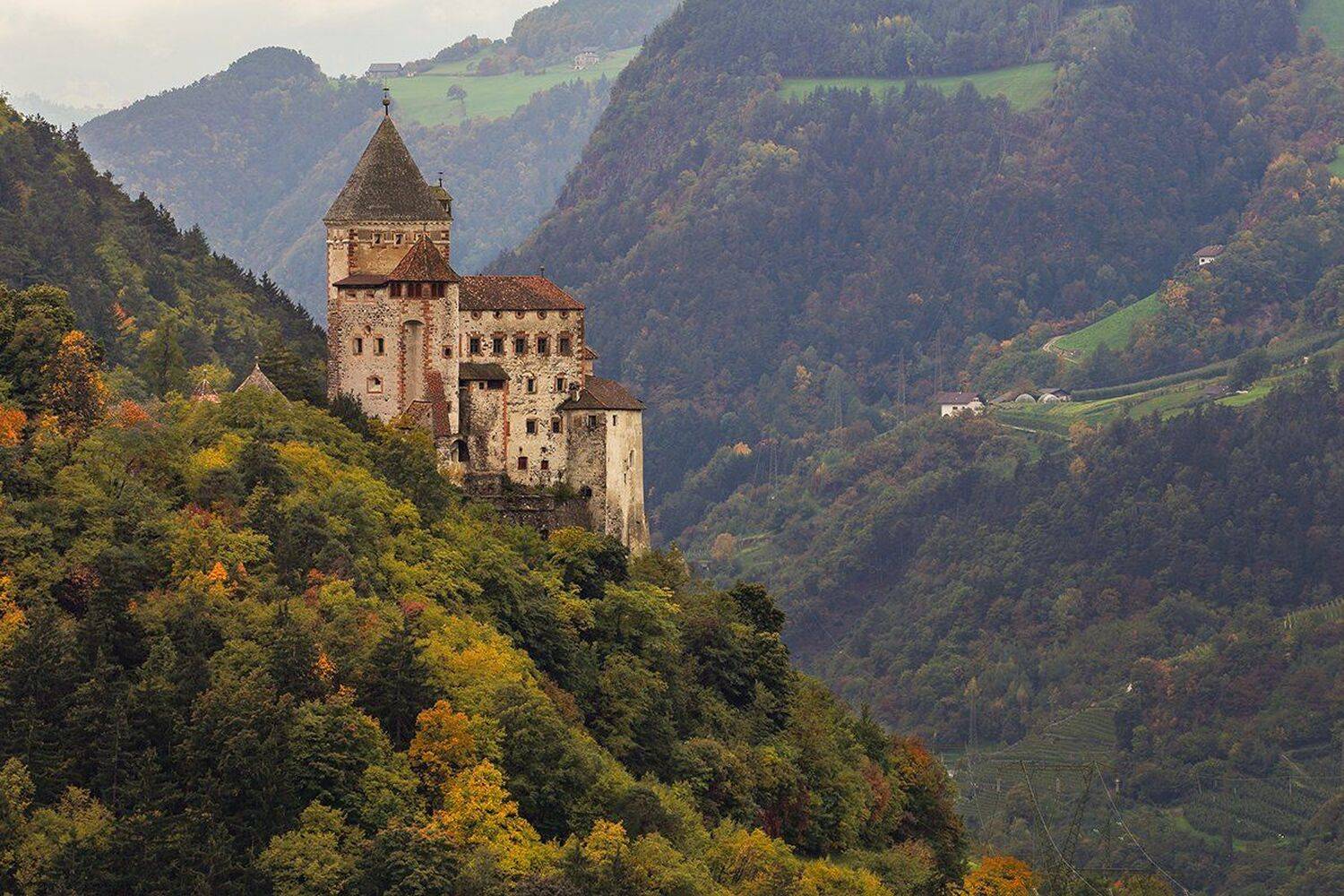 , Игорь Дубровский