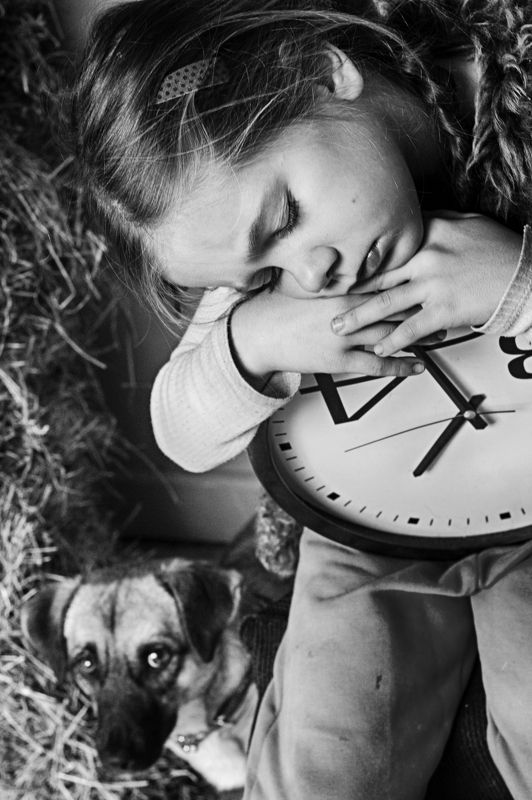 Новый жилец фото превью