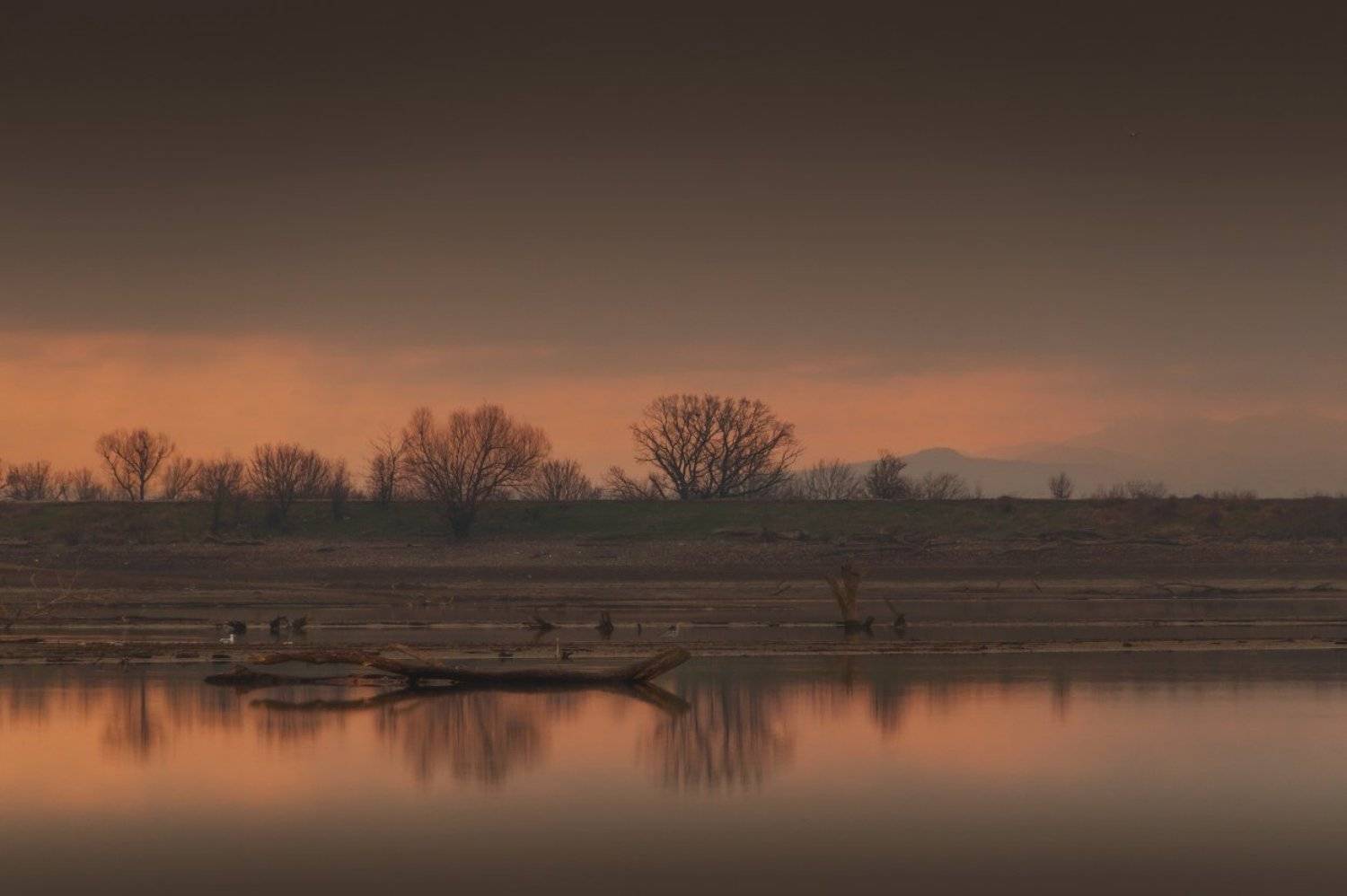 , Михаил Зимин