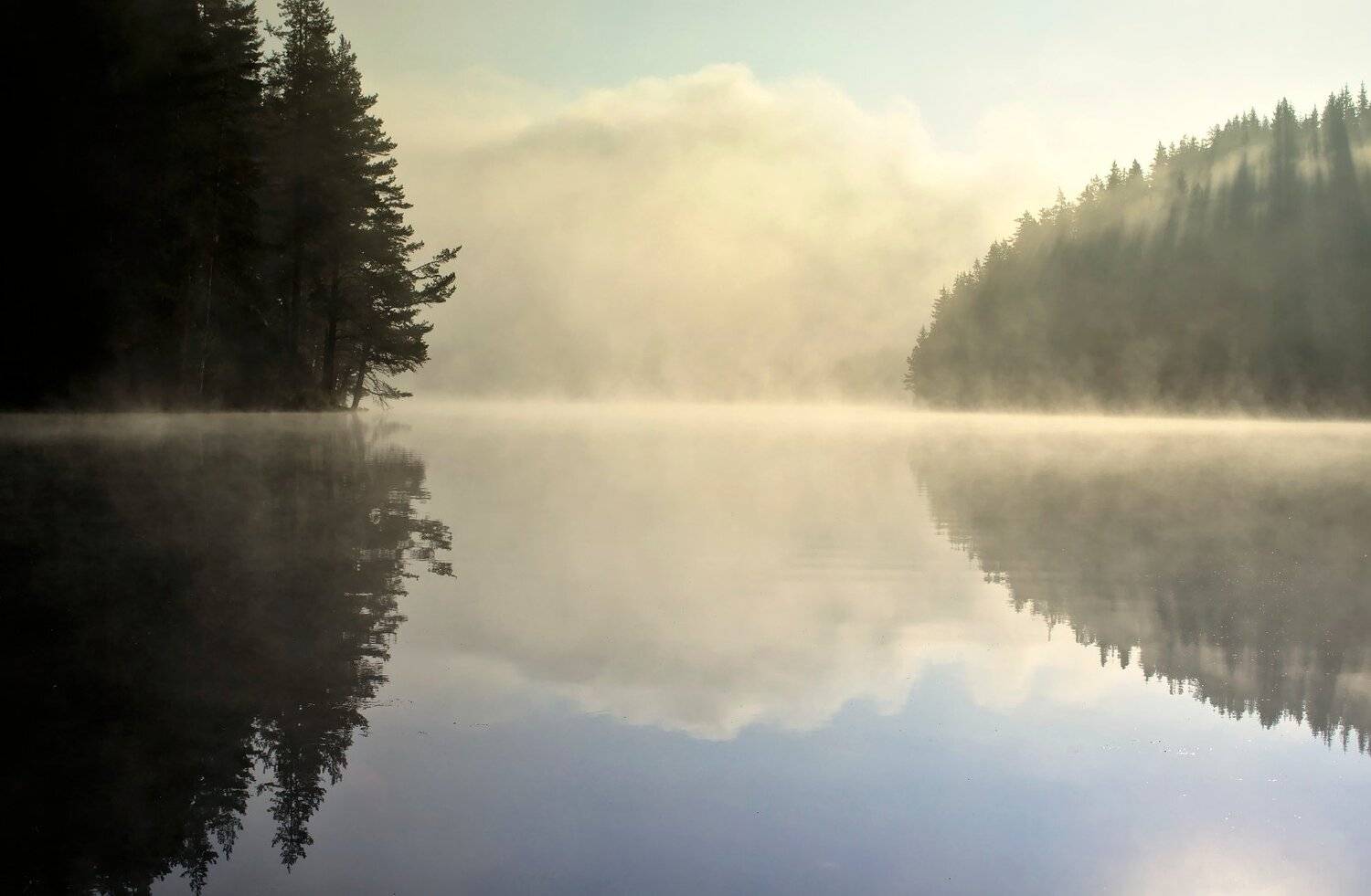 , Мартин Костадинов