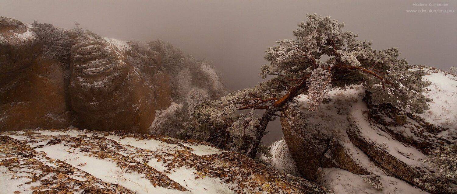 , Vladimir Kushnarev