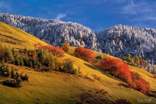 Autumn in the Dolomites
