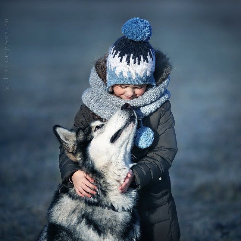 child, kid, friend, dog, malamute,   *** фото превью