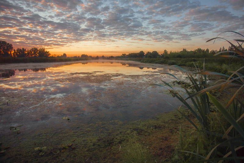летнее и осеннее фото превью
