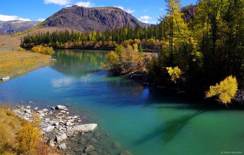 Сентябрьская Чуя