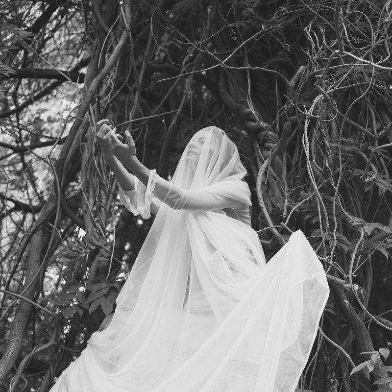 Silent Wings фото превью