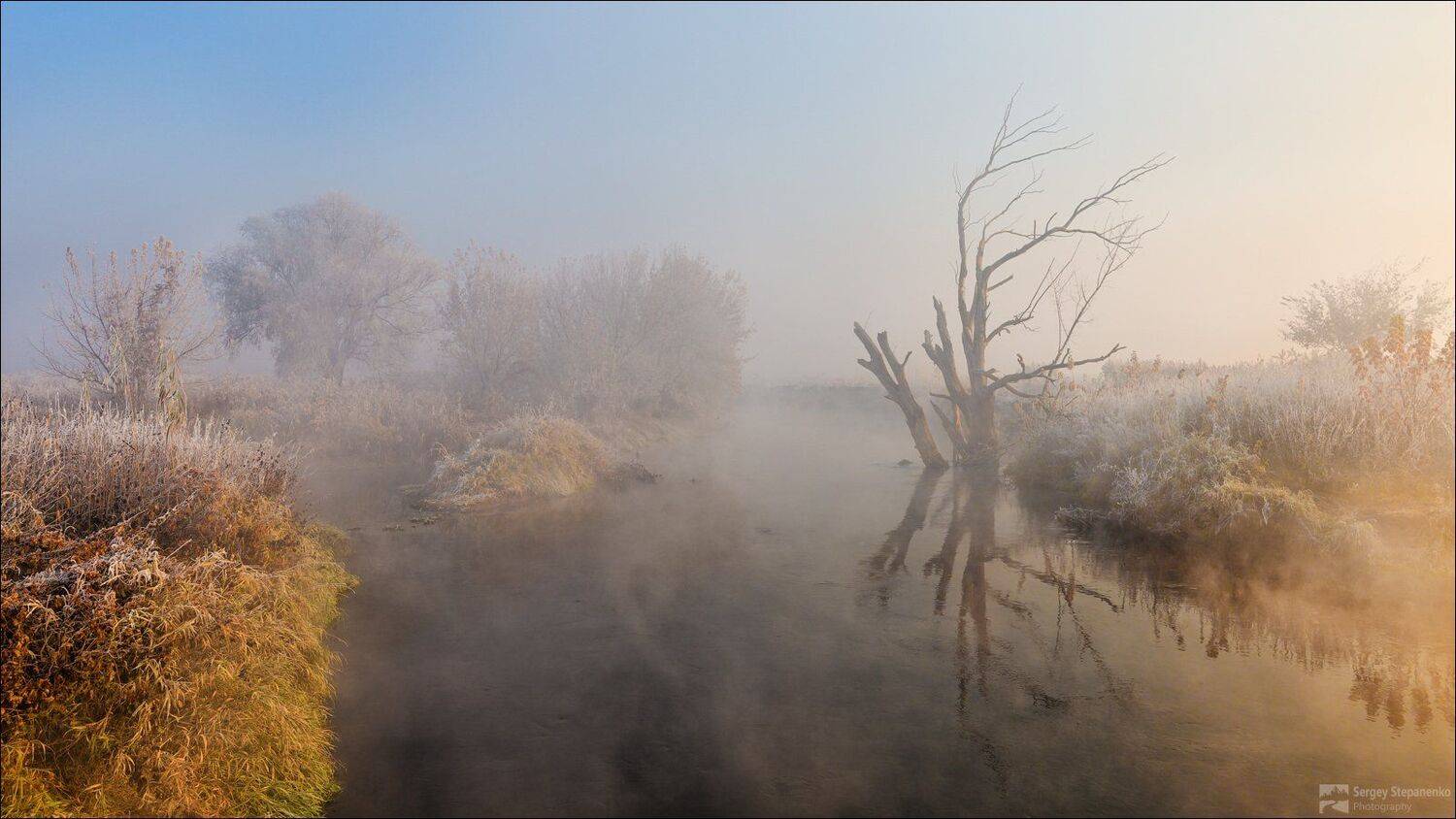 , Sergiy Stepanenko
