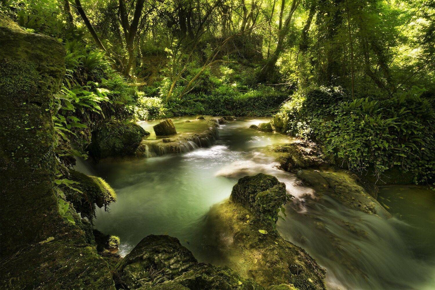 , Ева Йорданова