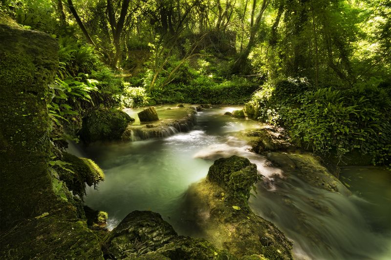 *** фото превью