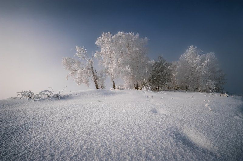 Декабрьским днём... фото превью
