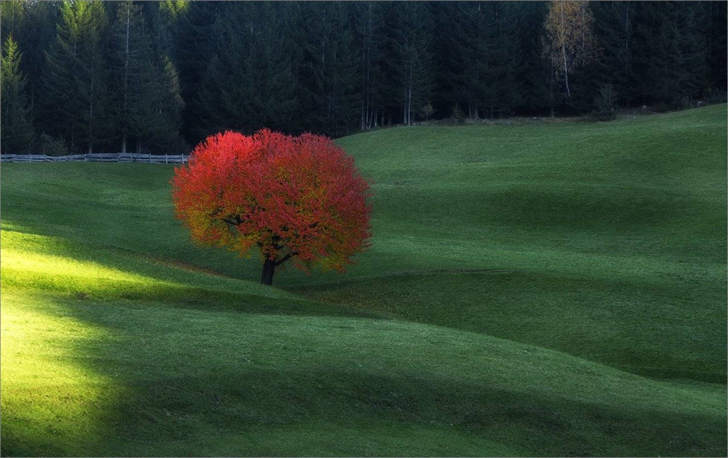 , Владимир K.