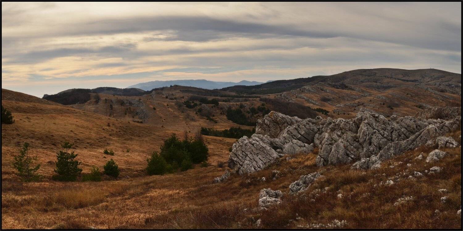 , Владимир Метцгер