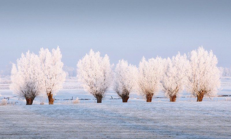 ... фото превью