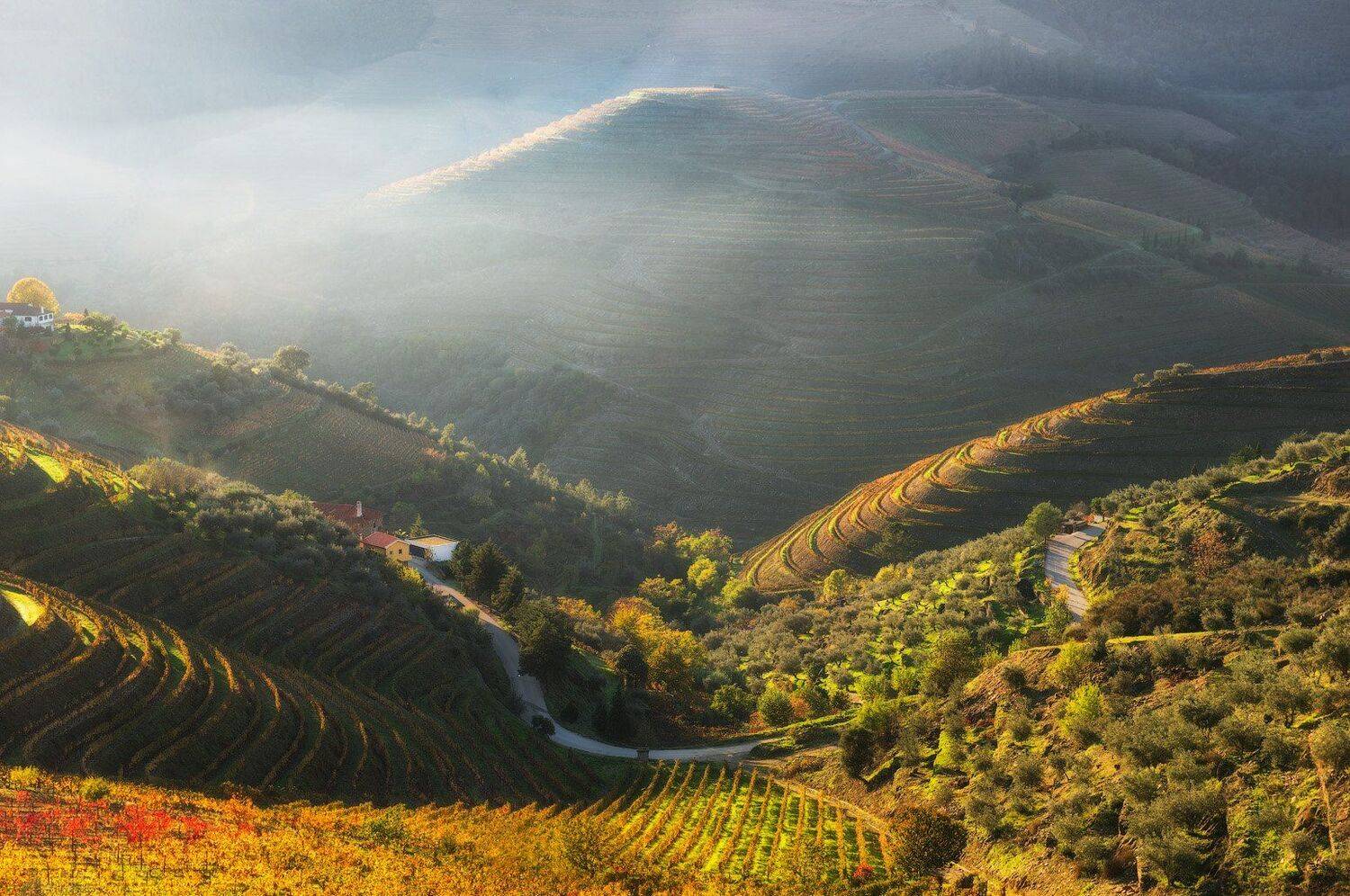 , Андрей Ведерников